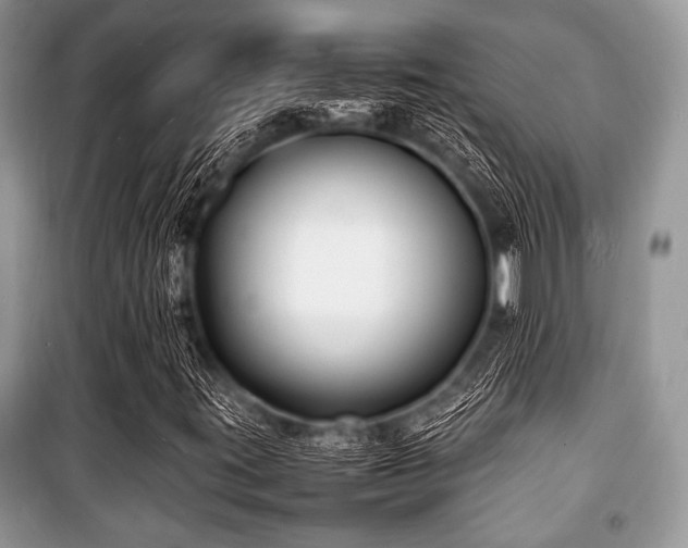 X0000100981395200806241531