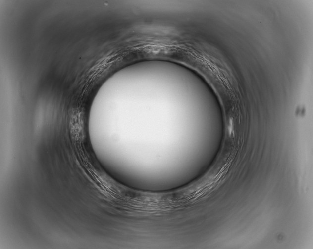 X0000100981396200806241531