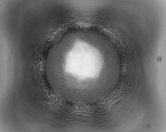 X0000100981397200806241531