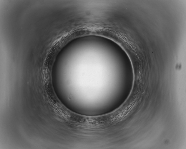 X0000100981398200806241531
