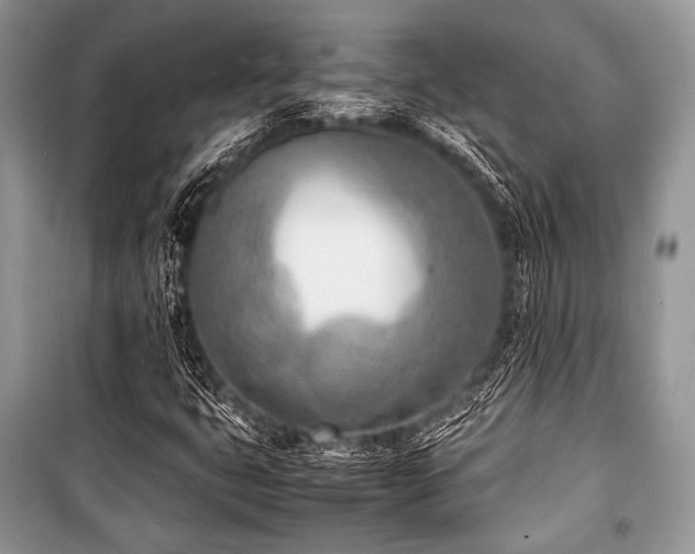 X0000100981399200806241531