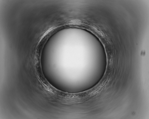 X0000100981400200806241531