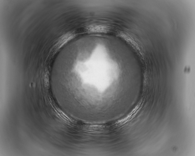 X0000100981401200806241531