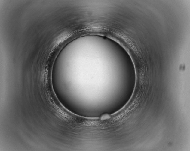 X0000100981402200806241531