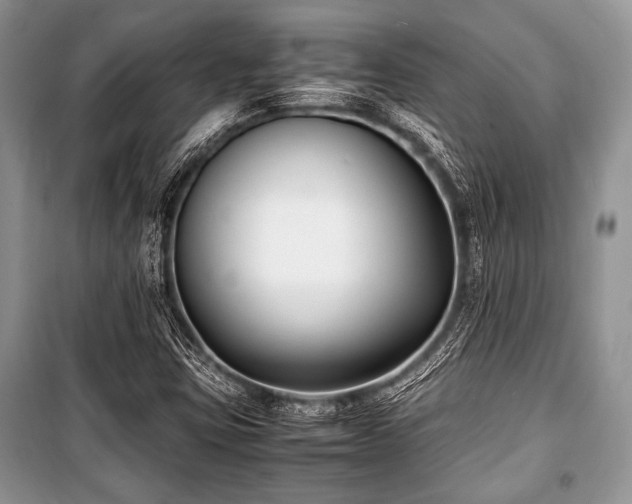 X0000100981403200806241531
