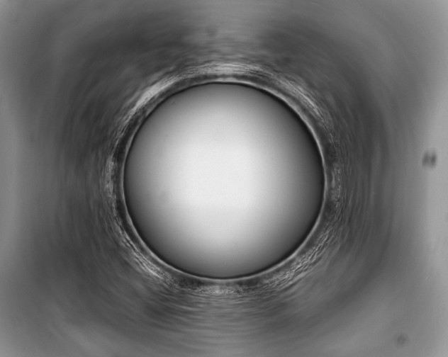 X0000100981404200806241531
