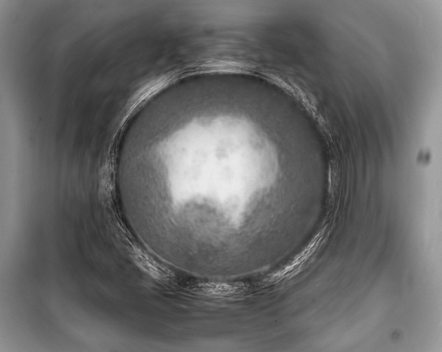 X0000100981405200806241531