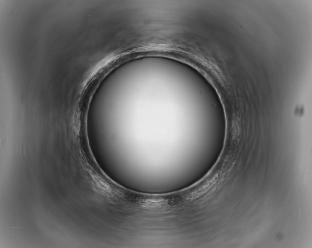 X0000100981406200806241531