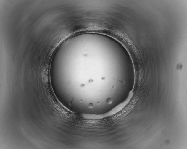 X0000100981409200806241531