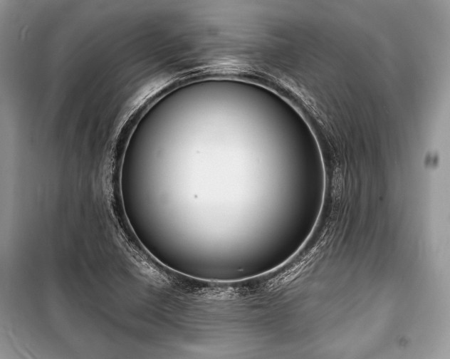 X0000100981410200806241531