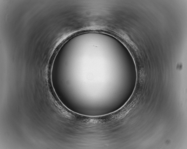 X0000100981412200806241532