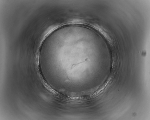 X0000100981413200806241532