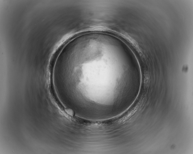 X0000100981414200806241532