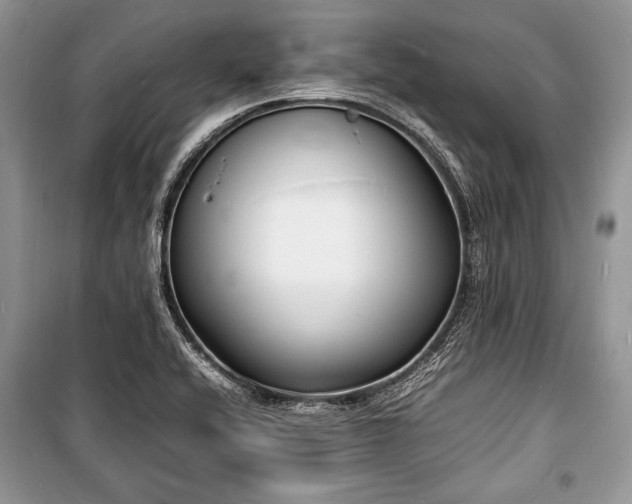 X0000100981416200806241532