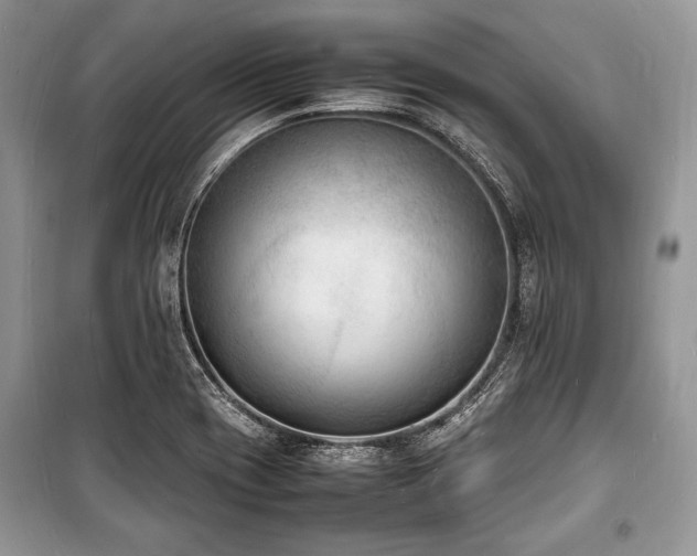 X0000100981417200806241532