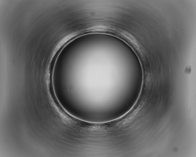 X0000100981418200806241532