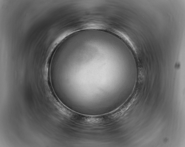 X0000100981419200806241532