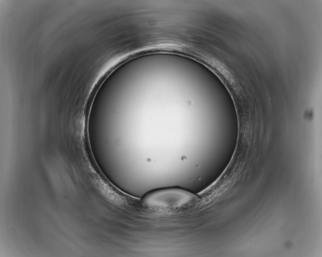 X0000100981420200806241532