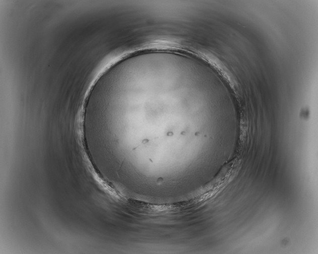 X0000100981421200806241532