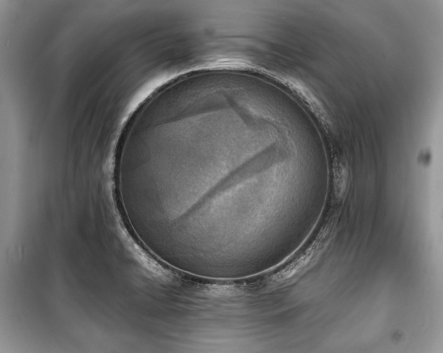 X0000100981422200806241532