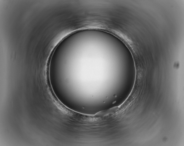 X0000100981423200806241532