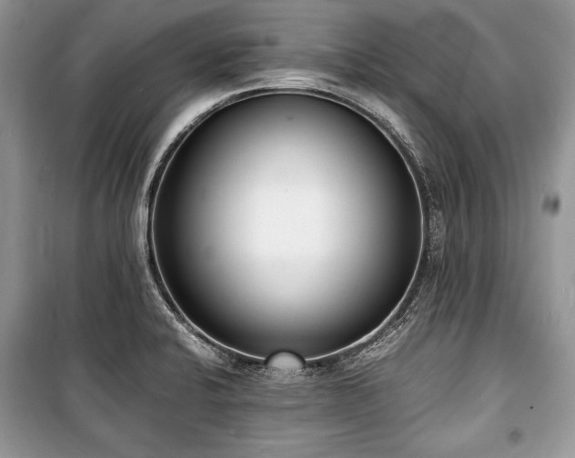 X0000100981424200806241532