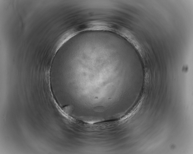 X0000100981425200806241532