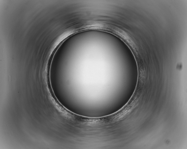 X0000100981426200806241532