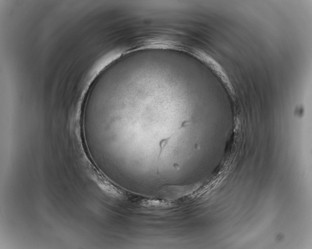 X0000100981427200806241532