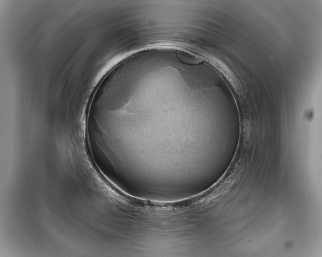 X0000100981428200806241532