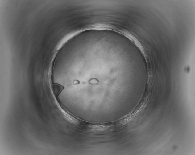 X0000100981429200806241532