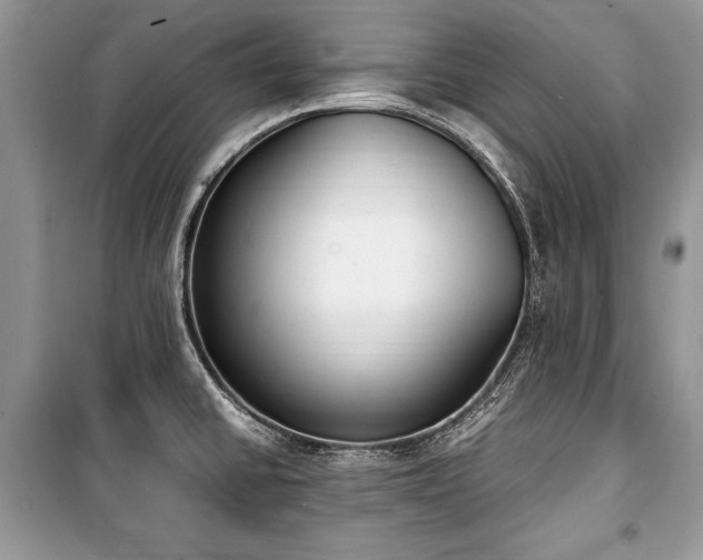 X0000100981430200806241532