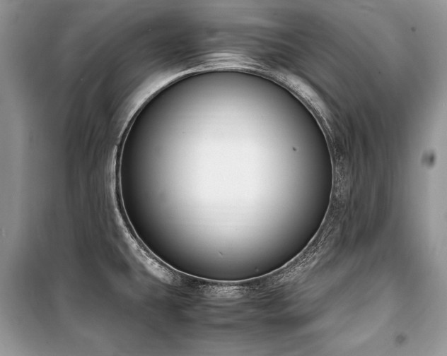 X0000100981431200806241532