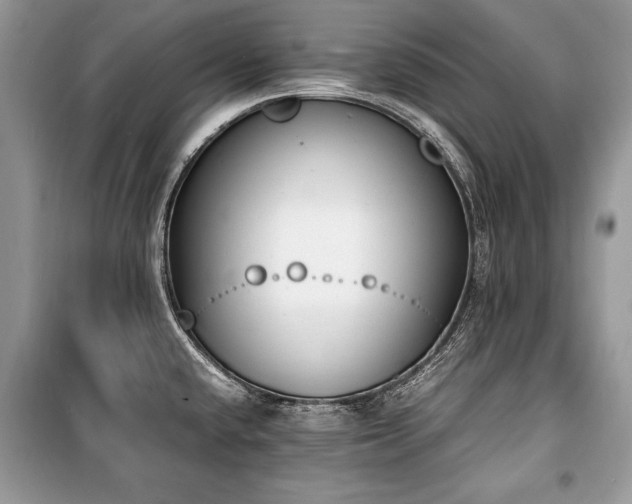 X0000100981432200806241532