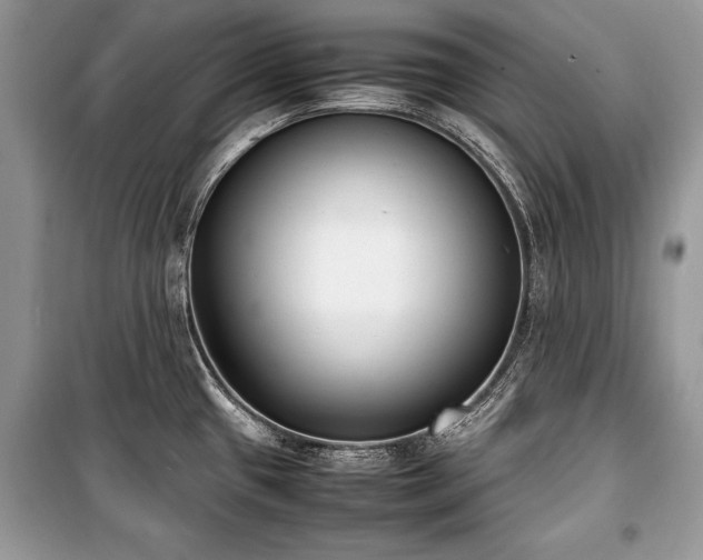 X0000100981433200806241532