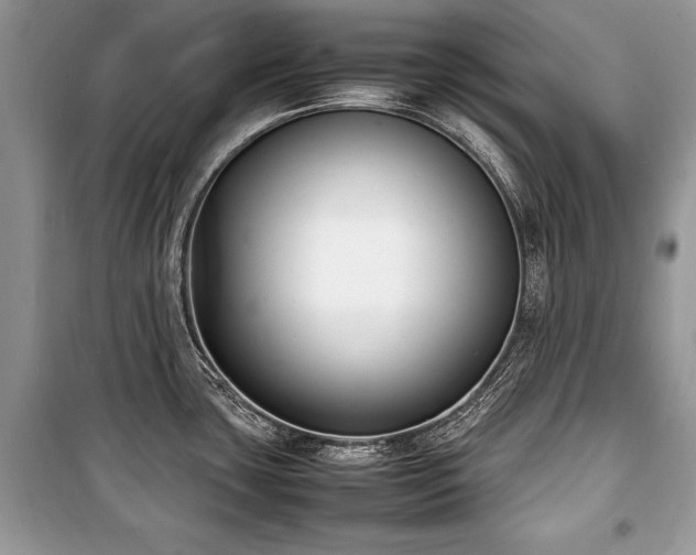 X0000100981435200806241532