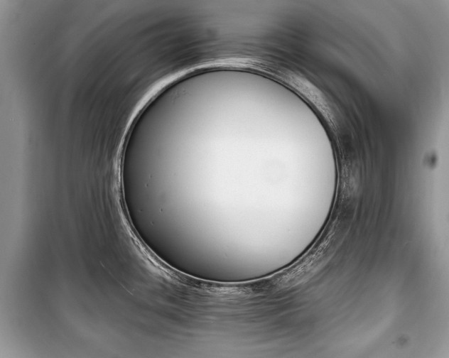 X0000100981436200806241532