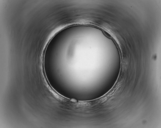 X0000100981437200806241532
