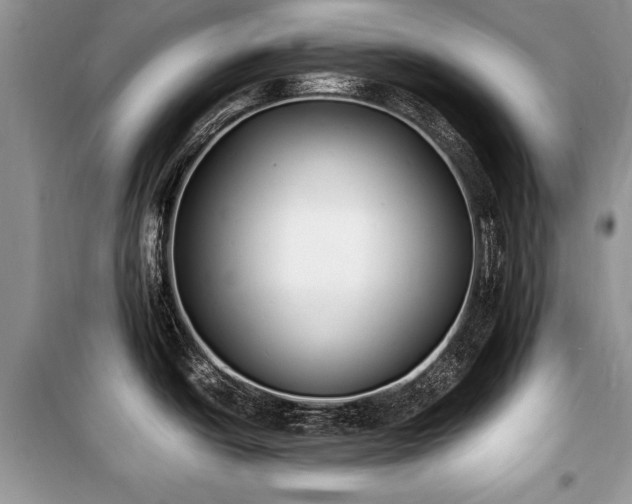 X0000100981438200806241532