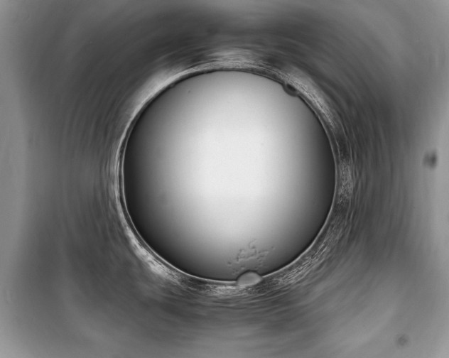 X0000100981439200806241532