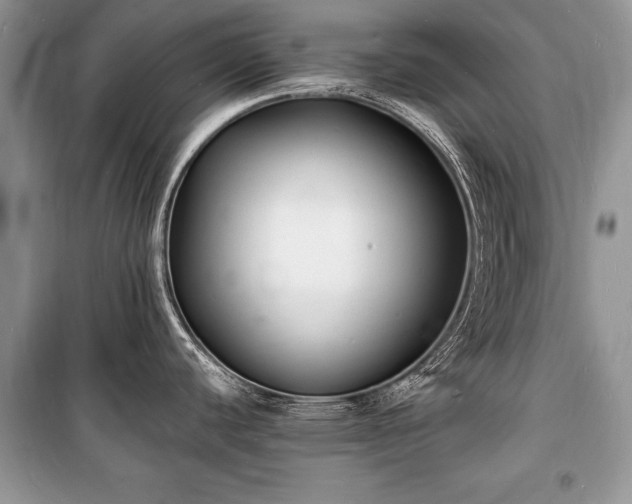 X0000100981440200806241532