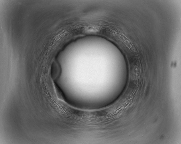 X0000100981441200806241531