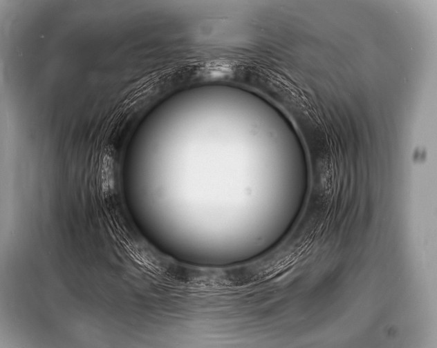 X0000100981442200806241531