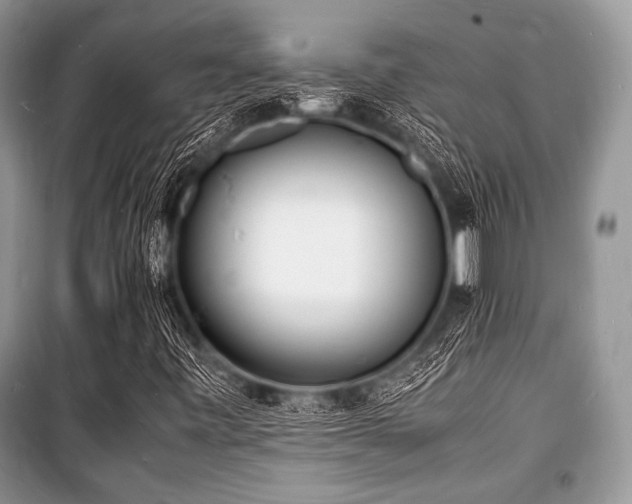 X0000100981443200806241531