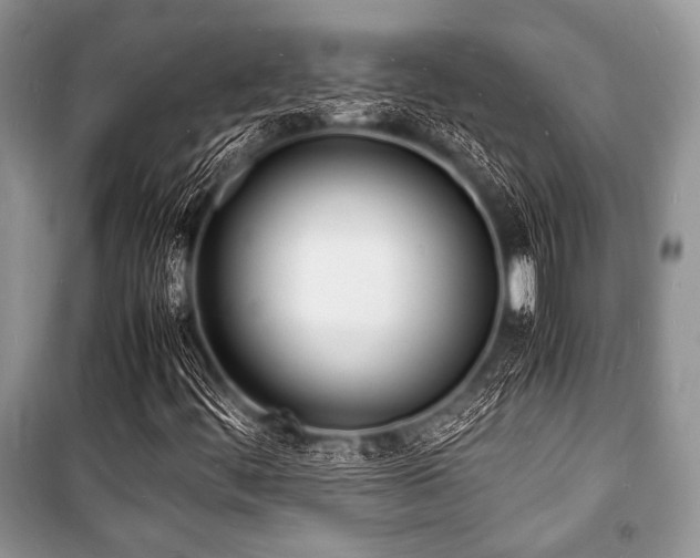 X0000100981444200806241531