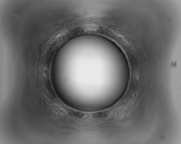 X0000100981445200806241531