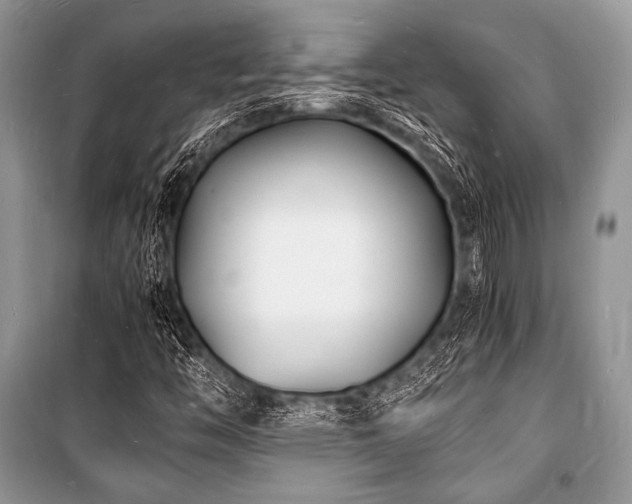 X0000100981446200806241531