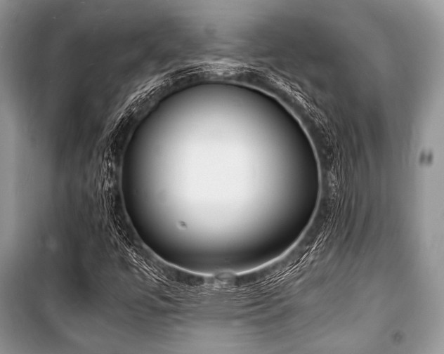 X0000100981447200806241531