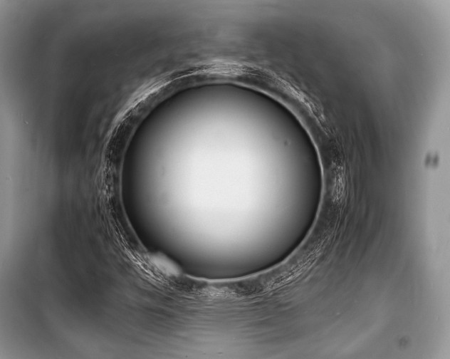 X0000100981448200806241531