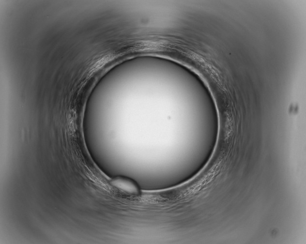 X0000100981449200806241531